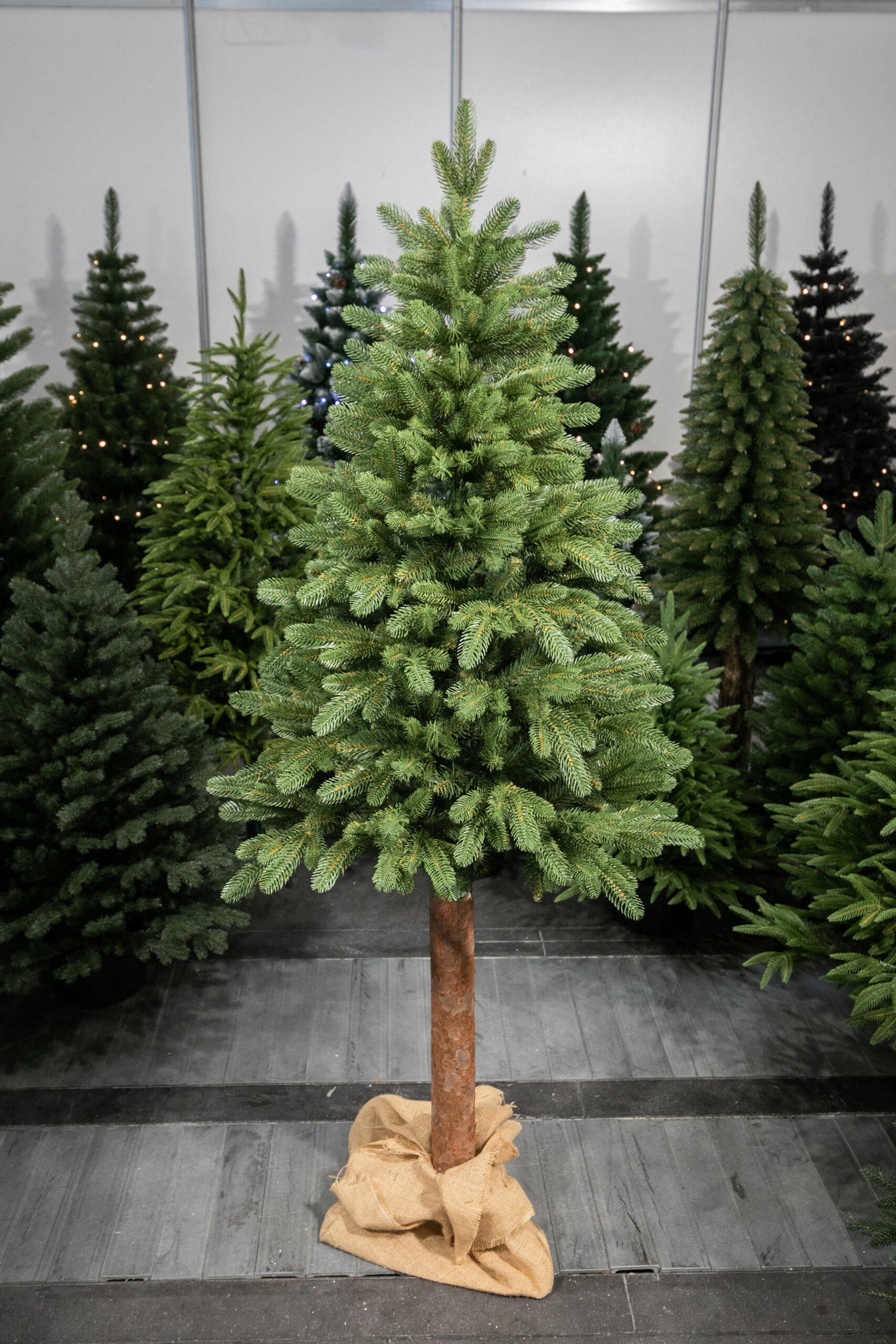 220 cm Kalėdinė eglutė „Skandinaviškas kėnis“ - Image 2