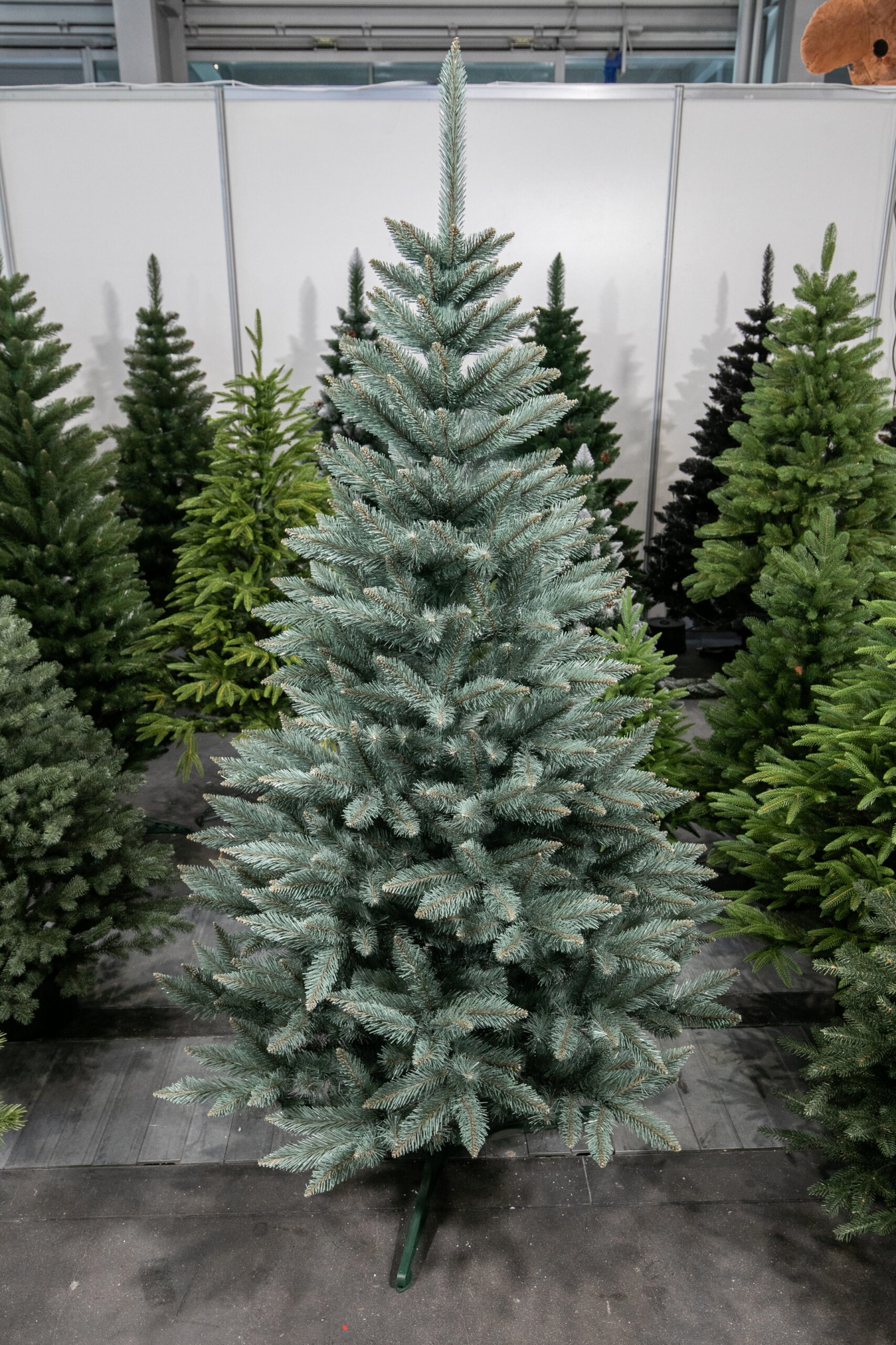250 cm Dirbtinė Kalėdų eglutė Šiaurinė eglė - Image 9